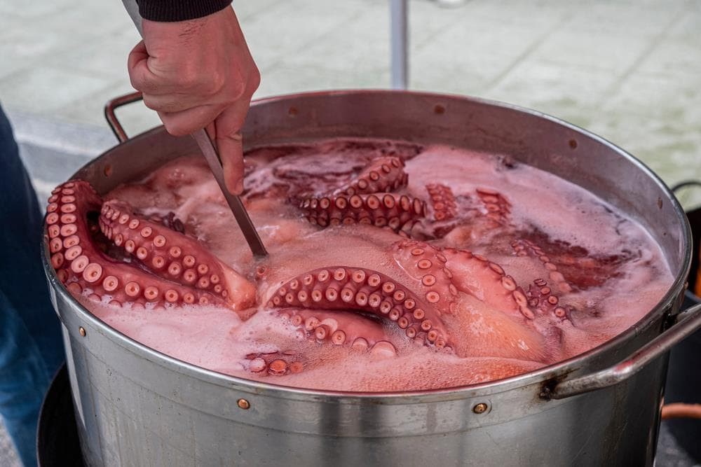 ¿Cómo hacemos pulpo en Pulpería Porta?